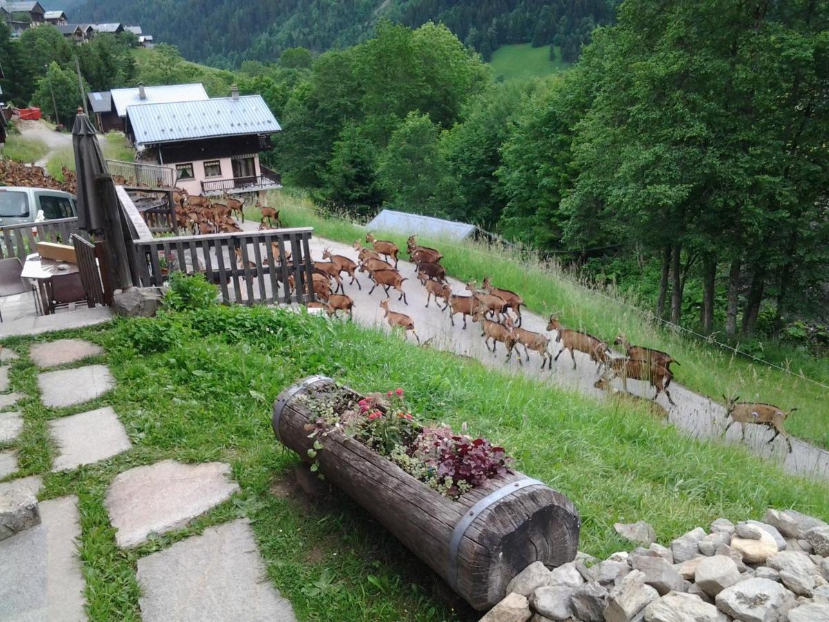 Вилла Le Refuge Des Marmottes Ареш Экстерьер фото